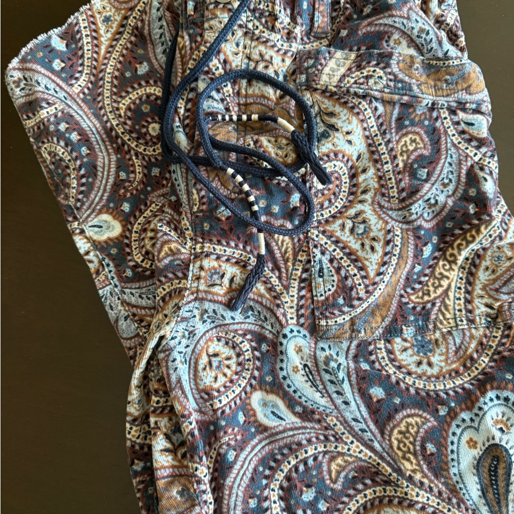 Free People Paisley Print Pants - Brown and Blue